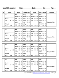 Baseball Tryout Evaluation Form